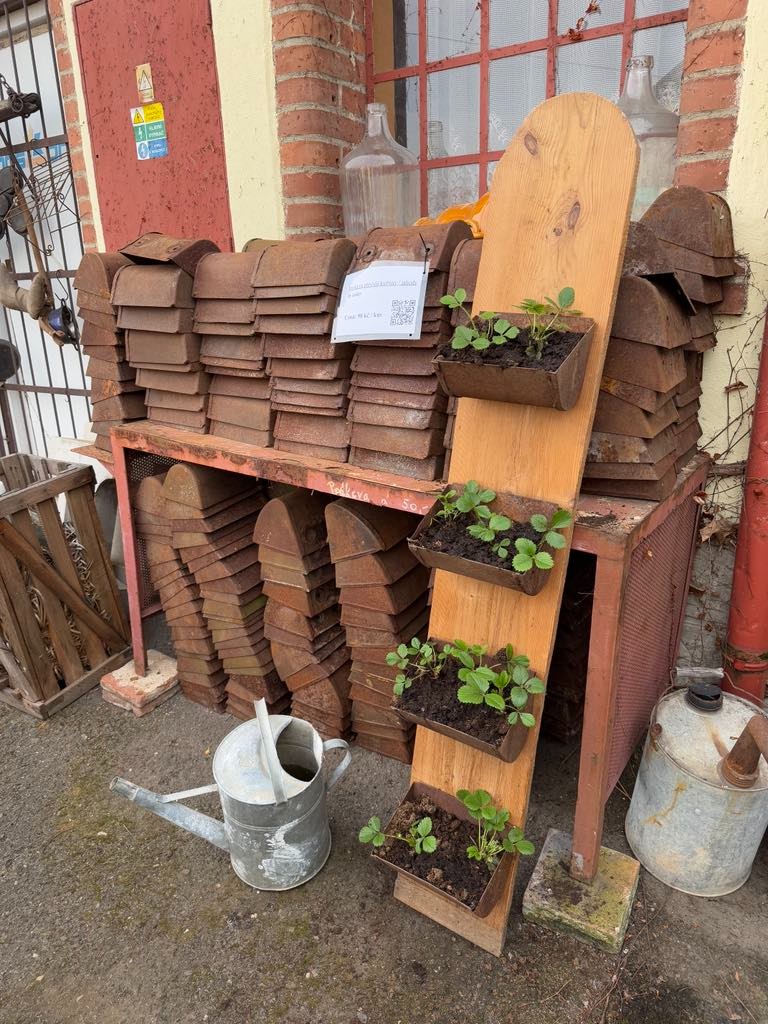 Miska na převislé květiny / jahody - Ostatní - Antik Spomyšl